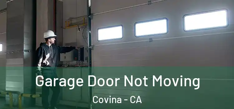  Garage Door Not Moving Covina - CA